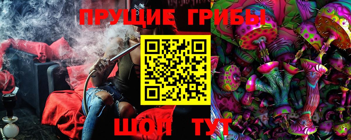 Псилоцибиновые грибы GOLDEN TEACHER  Псилоцибиновые грибы Psilocybe  Будённовск  Вход с VPN 