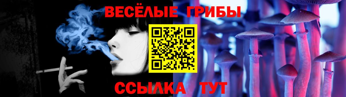 Псилоцибиновые грибы MAGIC MUSHROOMS Будённовск